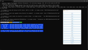 Windows10/11的系统镜像ISO定制脚本-龙之小站资源屋
