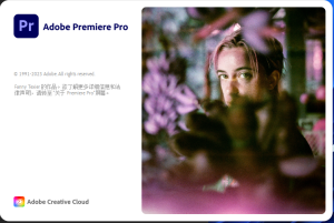 PR剪辑软件 Adobe Premiere Pro 2024 中文破解免激活版 v24.1.0.85-龙之小站资源屋