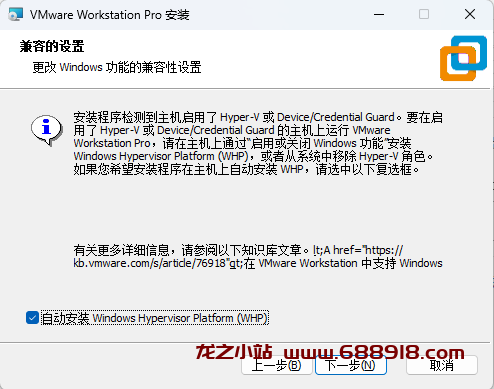 图片[4]-2023最新版VMware workstation pro17.5.0（附安装包+永久激活许可证）-龙之小站资源屋