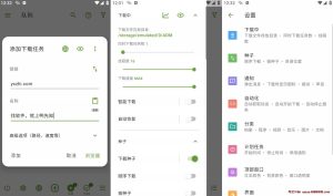 ADM v14.0.30 多线程下载工具，百度无限速，专业直装版-龙之小站资源屋
