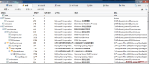 火绒剑独立版 v5.0.74.2-龙之小站资源屋