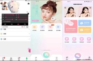 微信视频美颜版 v3.6.1 滤镜，美肤，瘦脸，特效强大的功能，解锁会员版-龙之小站资源屋