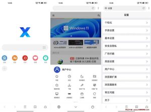 X浏览器 v4.8.0 谷歌版，浏览器扩展、JS脚本、资源嗅探、操控手势、广告拦截等-龙之小站资源屋