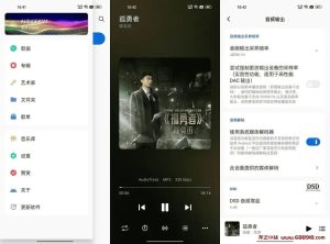 椒盐音乐 v10.6.0 改名Salt Player 纯净无广告的本地音乐播放器软件，支持多种音频格式-龙之小站资源屋