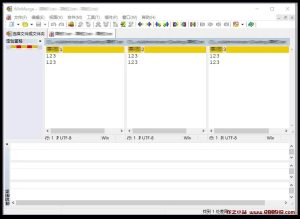 WinMerge v2.16.38 免费开源的文件比较工具，中文绿色版-龙之小站资源屋
