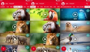 动物：手机铃声 v18.0 一款手机动物铃声，去广告免费使用-龙之小站资源屋