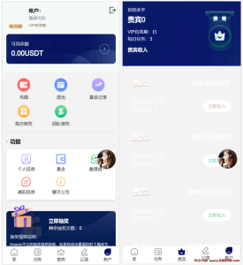 海外YouTube视频点赞刷单悬赏任务投资理财源码/tiktok国际版刷单理财-龙之小站资源屋