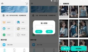 万能下载Pro v2.0.1 抖音、快手、皮皮虾等短视频无水印解析下载，解锁高级版-龙之小站资源屋