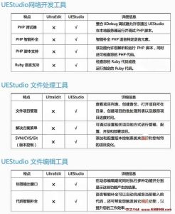 IDM UEStudio v23.2.0.41 代码编辑器及IDE调试器，绿色中文解锁版-龙之小站资源屋