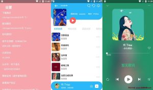 听下音乐 v2.0.6 Plus 一款插画UI音乐下载神器听下音乐，无视付费限制，免费下载-龙之小站资源屋