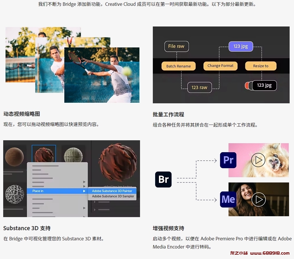Adobe Bridge 2024 直装激活版-龙之小站资源屋
