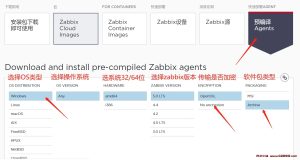 Windows下安装zabbix agent客户端-龙之小站资源屋