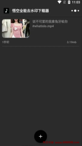 悟空全能去水印下载器 v2.11.15 各大短视频平台去水印下载，解锁会员版-龙之小站资源屋