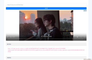 短视频解析接口分发系统-龙之小站资源屋