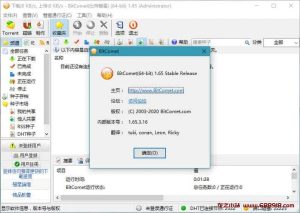 BitComet v2.07.3.5 比特彗星，老牌国产BT下载软件，解锁全功能豪华版-龙之小站资源屋