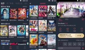 打驴动漫 v1.0.3.3 国外动漫、国产动漫，番剧，全站免费播放，去广告纯净版-龙之小站资源屋