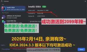 IDEA 2024.3.3 最新激活码，破解版安装教程（至2099年~）-龙之小站资源屋