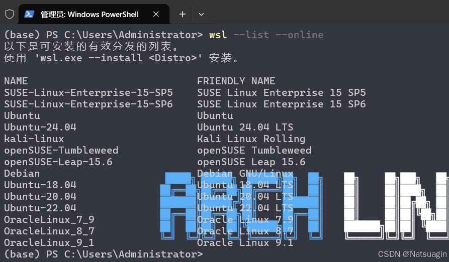 图片[8]-全网最全 Win10/11 系统下 WSL2+Ubuntu20.04 的全流程安装指南-龙之小站资源屋