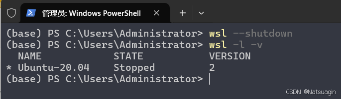 图片[29]-全网最全 Win10/11 系统下 WSL2+Ubuntu20.04 的全流程安装指南-龙之小站资源屋