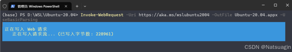 图片[19]-全网最全 Win10/11 系统下 WSL2+Ubuntu20.04 的全流程安装指南-龙之小站资源屋