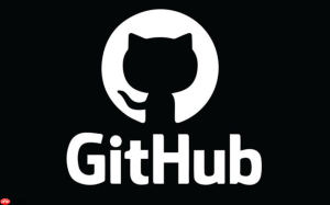 GitHub访问加速:国内用户必备的加速技巧与工具-龙之小站资源屋
